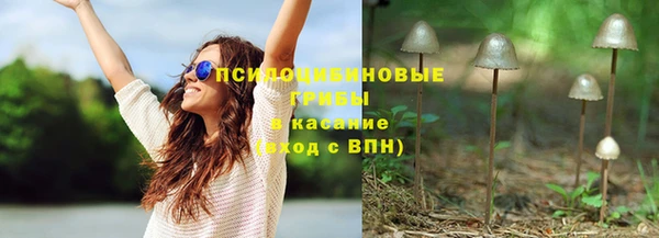гидра Армянск
