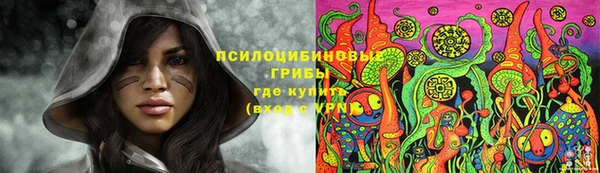 гидра Армянск